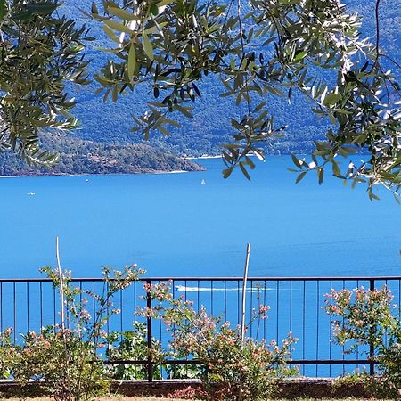 Casa Vacanze Perla Del Lago Domaso Bagian luar foto