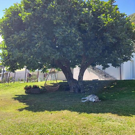Casa Vacanze Perla Del Lago Domaso Bagian luar foto