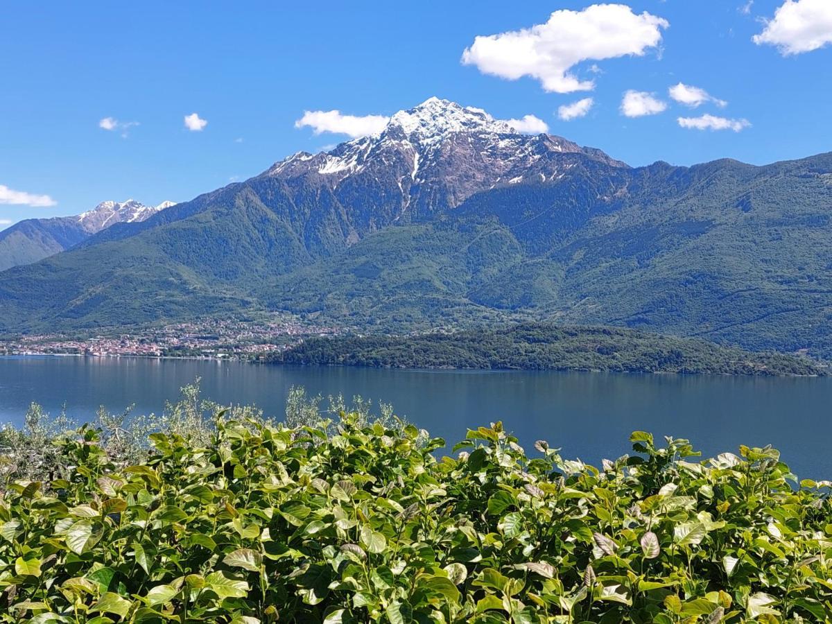 Casa Vacanze Perla Del Lago Domaso Bagian luar foto