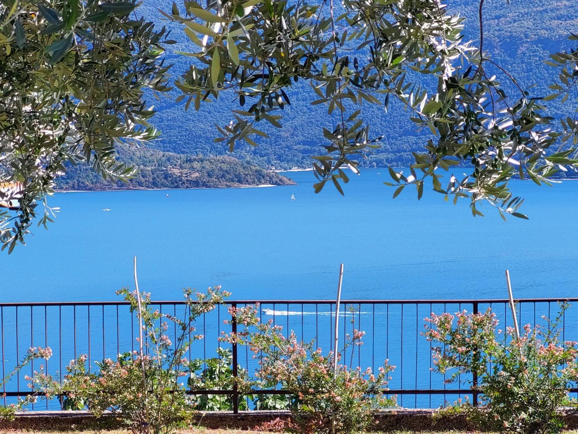 Casa Vacanze Perla Del Lago Domaso Bagian luar foto