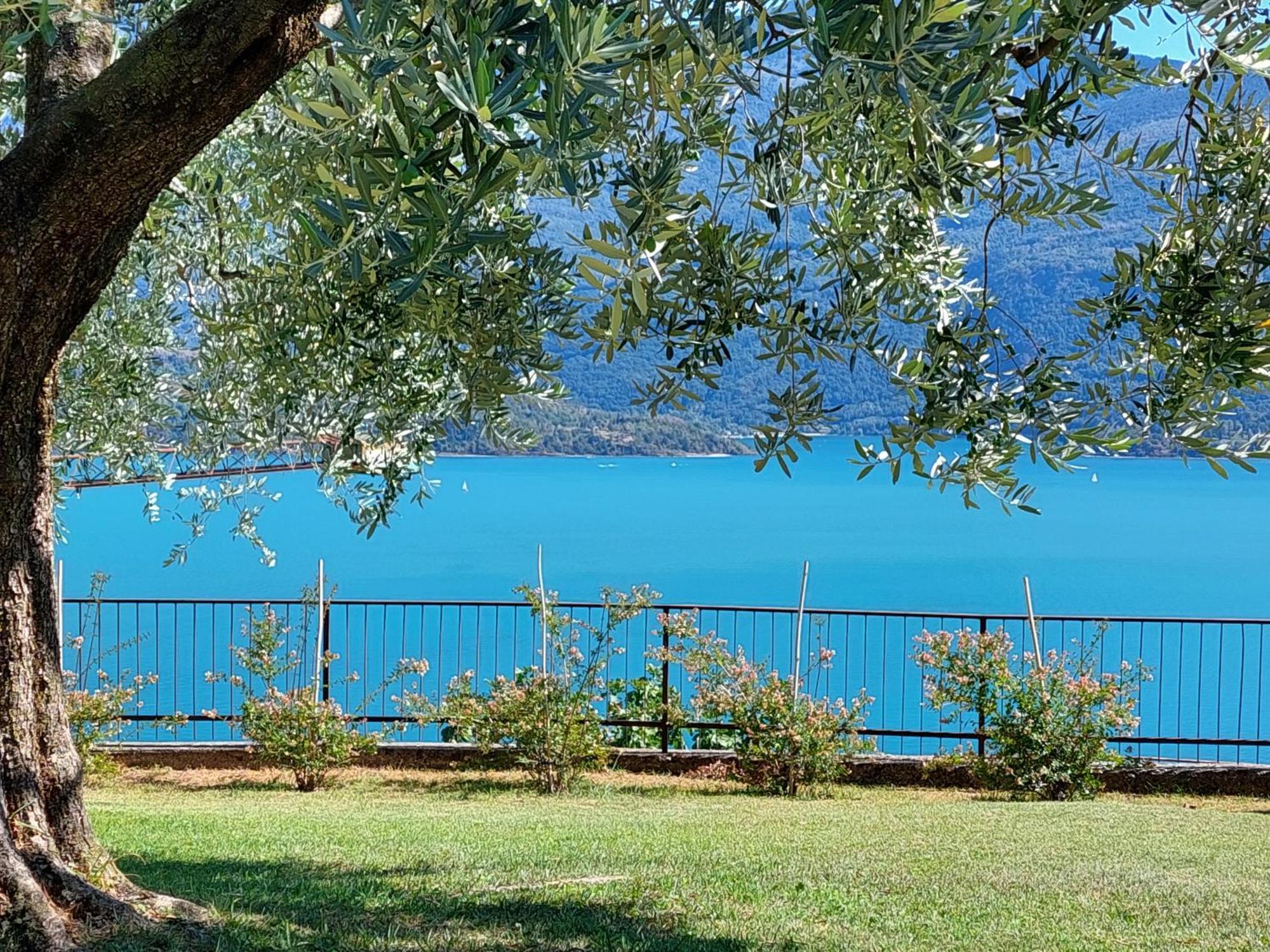 Casa Vacanze Perla Del Lago Domaso Bagian luar foto